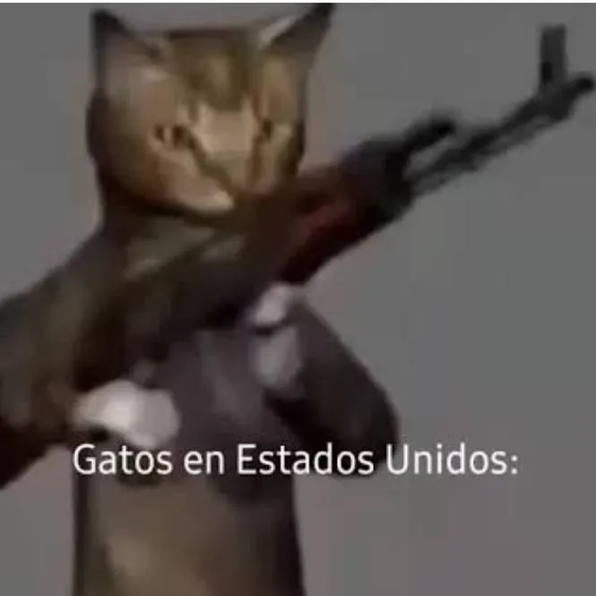 chat with ai character: gato de usa pvp