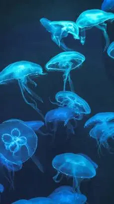 ai character: circuit ! background