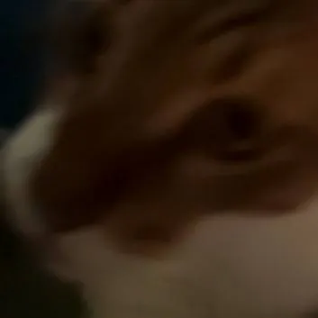 chat with ai character: Hudi