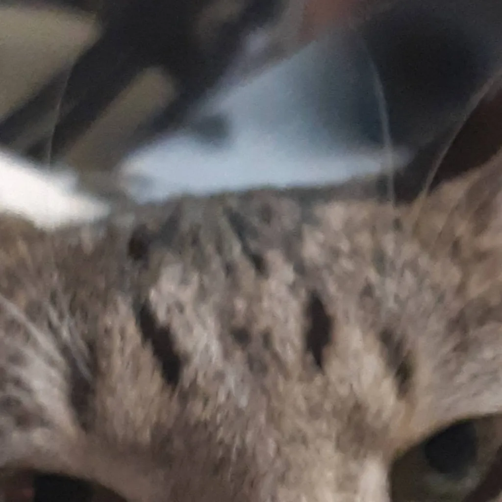 chat with ai character: Mimi