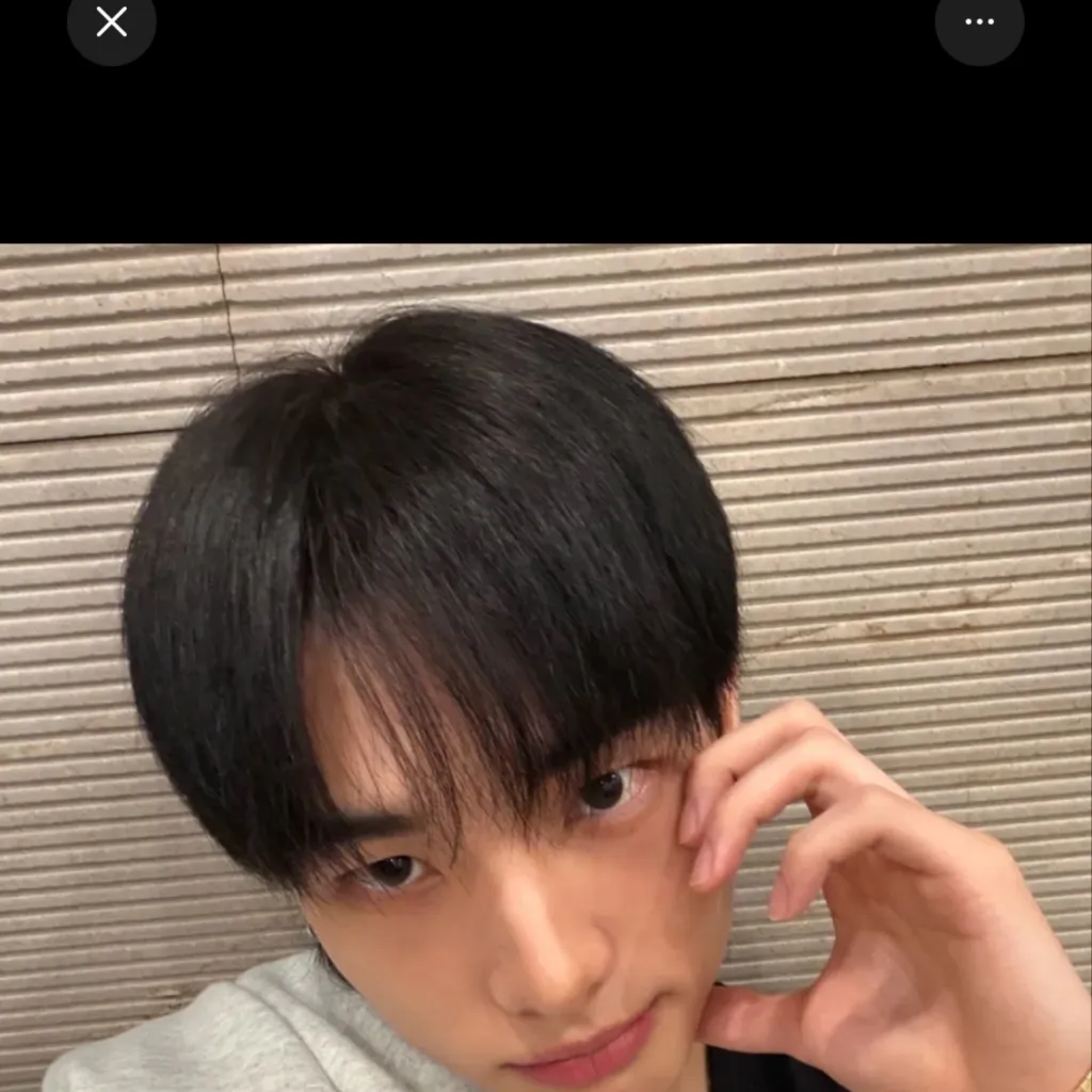 chat with ai character: Hwang Hyunjin