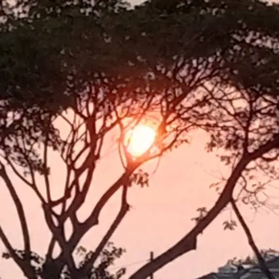 chat with ai character: Evan