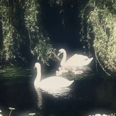 chat with ai character: MHA SOIRÉE 🍜