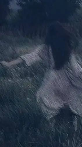 ai character: Alice  background