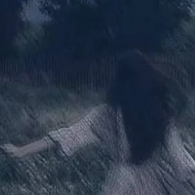 chat with ai character: Alice 