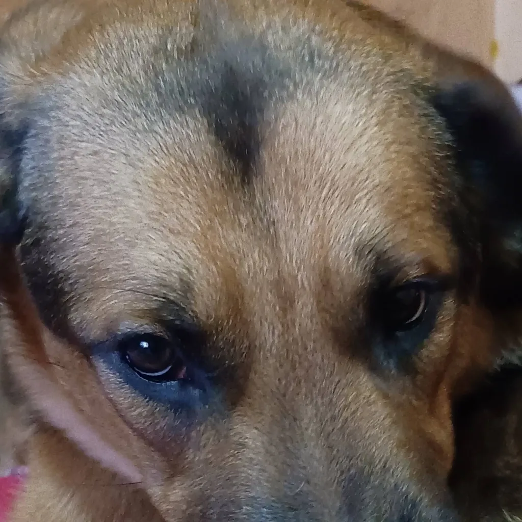 chat with ai character: Mancio