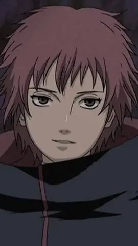 ai character: Sasori background