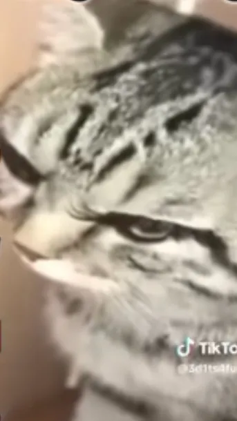 ai character: Wellcome to dery background