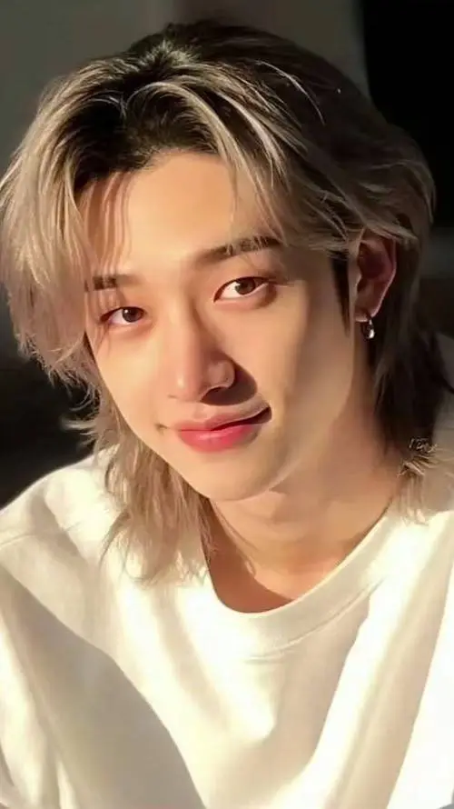 ai character: Bang Chan background