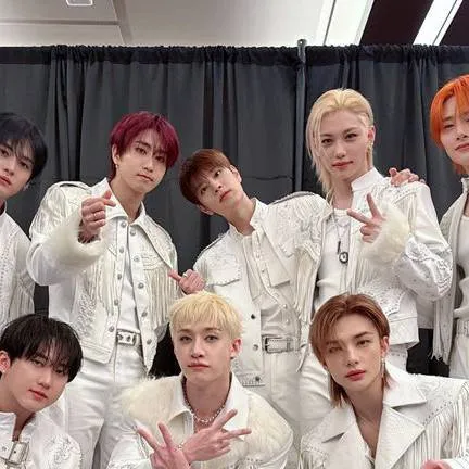 chat with ai character: Stray Kids(2) 