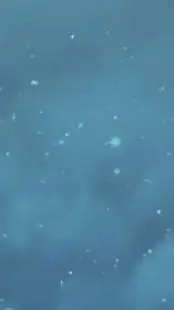 ai character: skz en tu casa  background