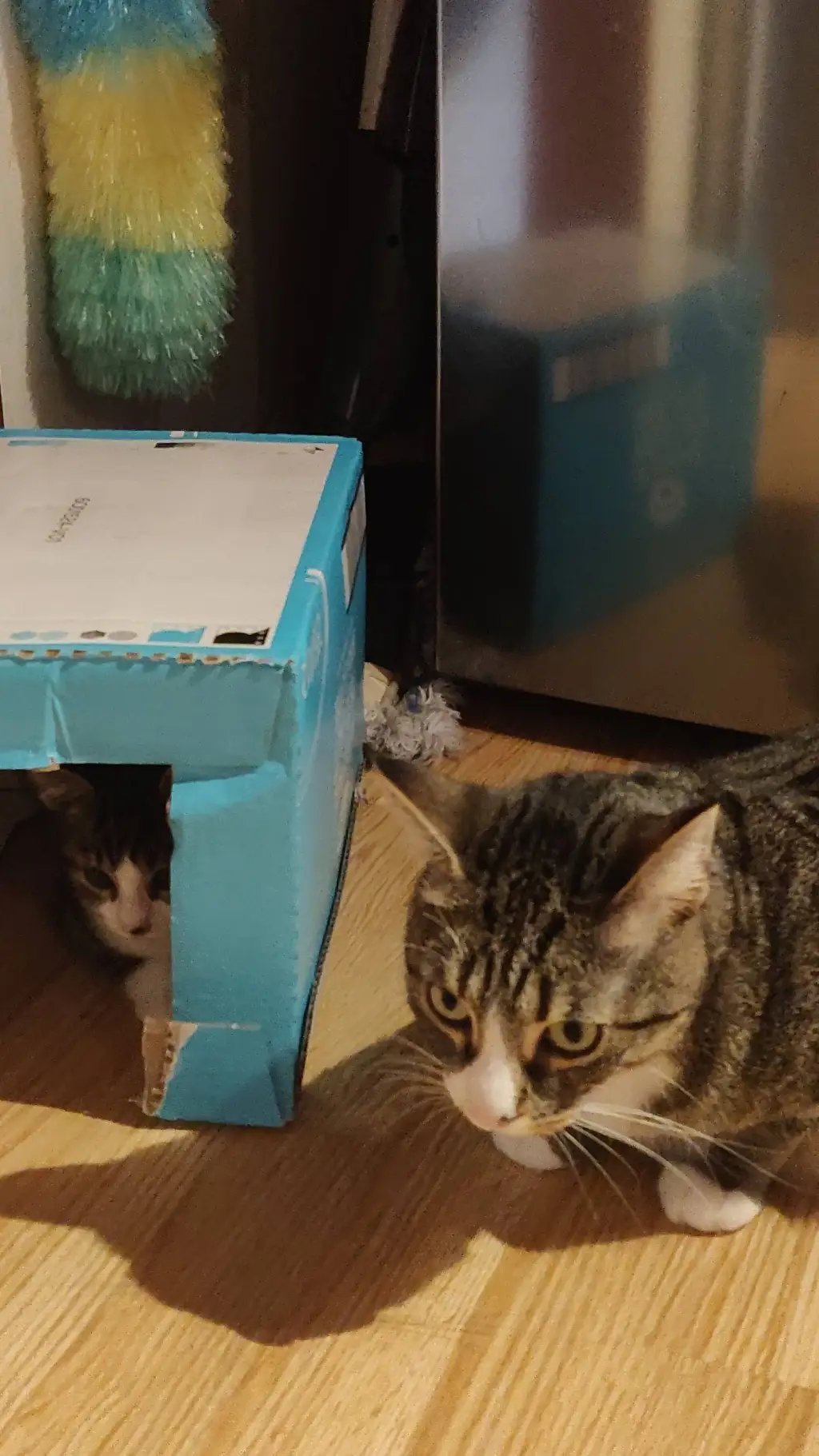 ai character: axel et Léo  background