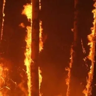 chat with ai character: hybride 