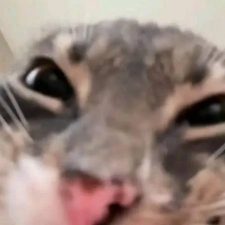 chat with ai character: talking kat