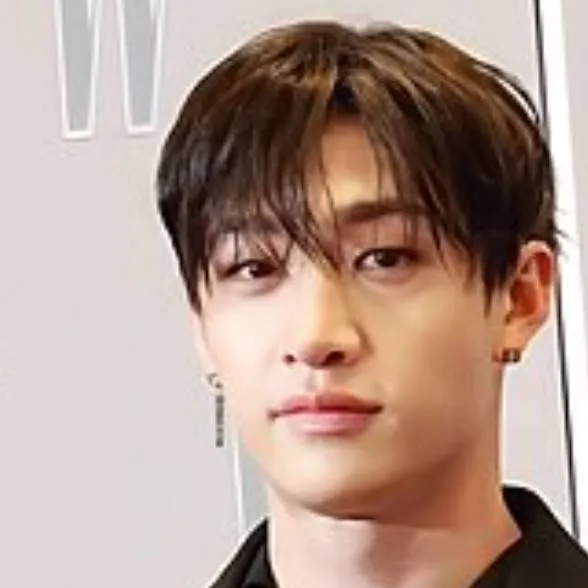 chat with ai character: bangchan 