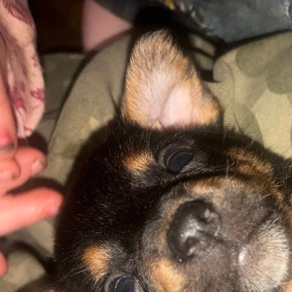 chat with ai character: ❤️ Dakota ❤️