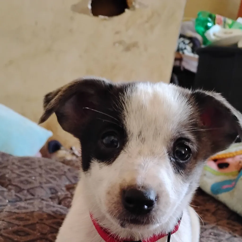 chat with ai character: 🧸 Teddy 🧸