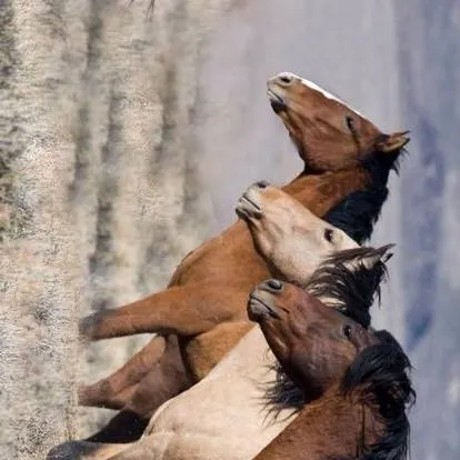 chat with ai character: Horse herd - 