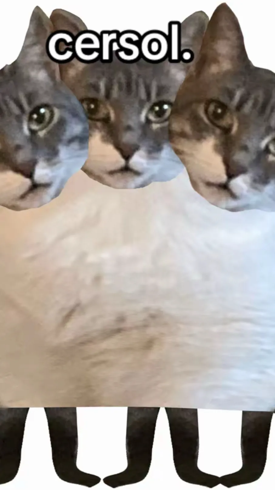 ai character: Cersol  background