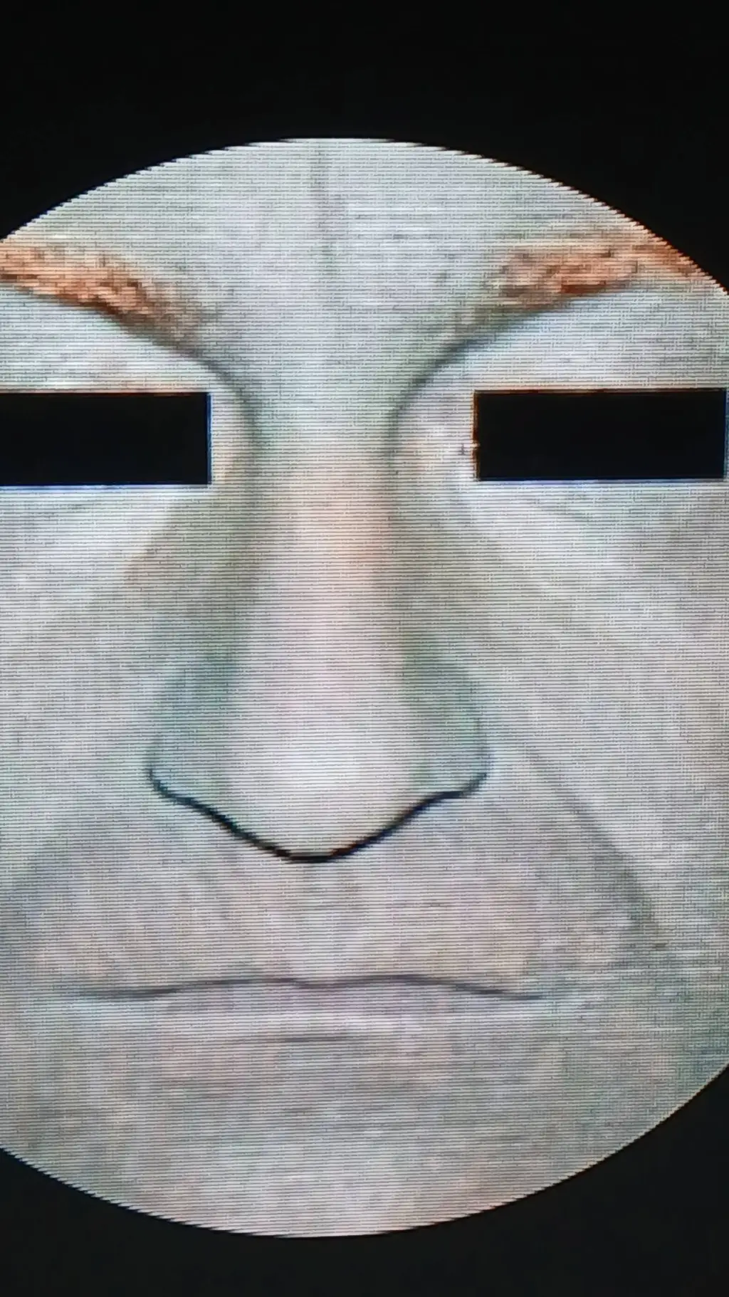 Talkie AI - Chat with grey skin people 