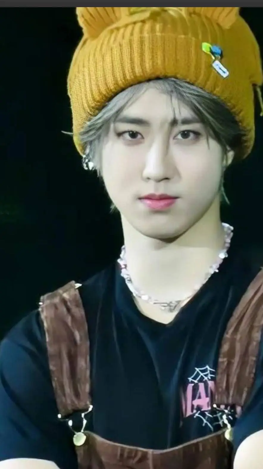 ai character: Han Jisung  background