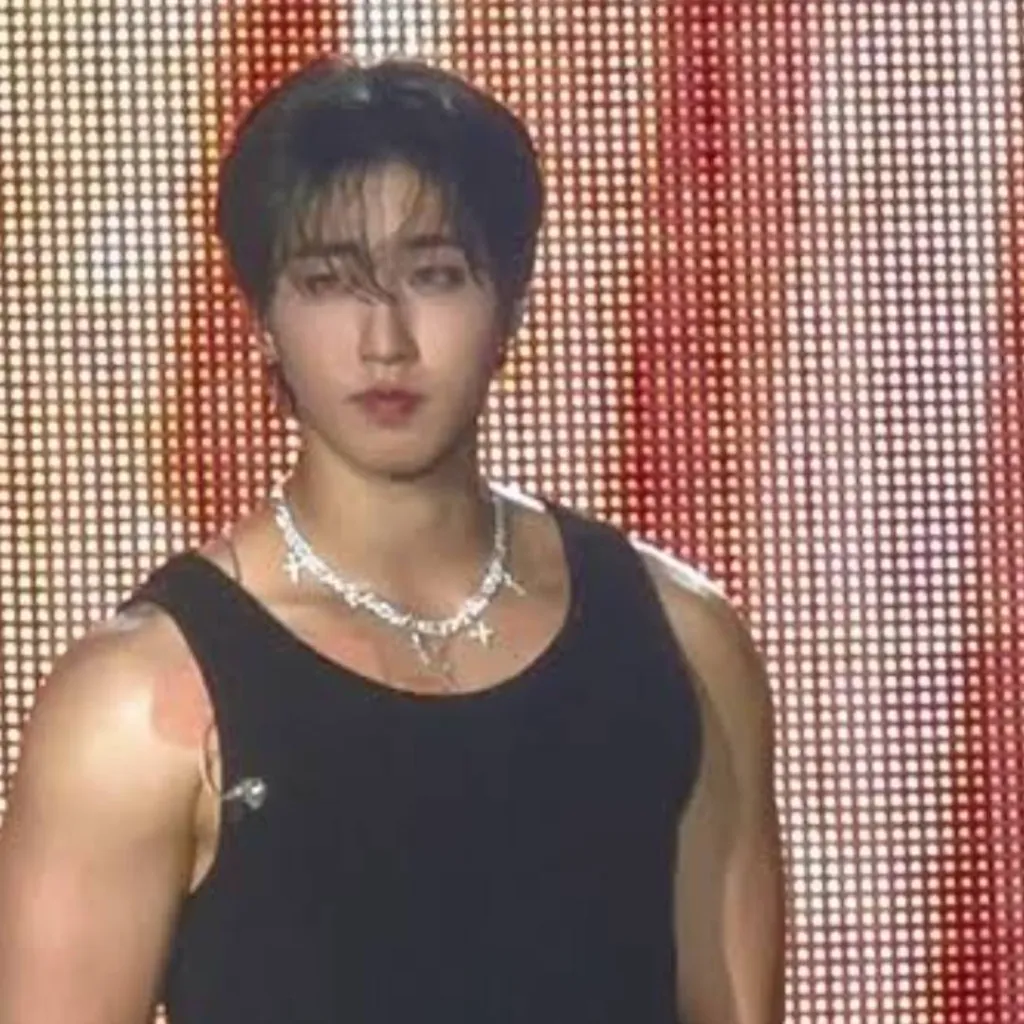 chat with ai character: Han Jisung 