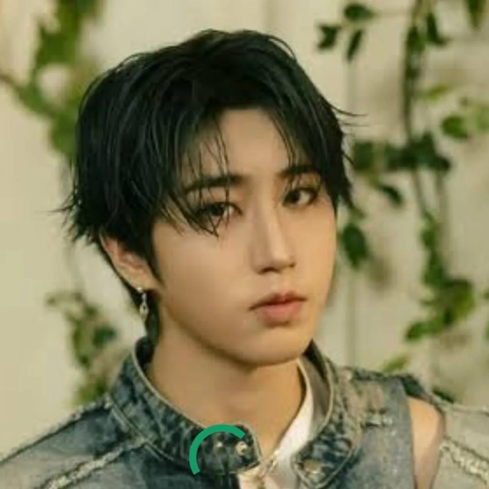 chat with ai character: Han Jisung 