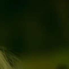 chat with ai character: Infected 🧟‍♀️