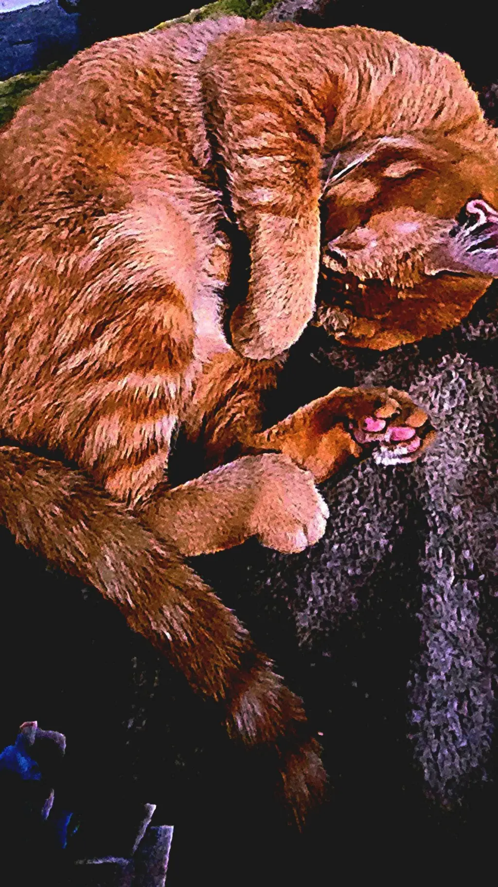 ai character: vi background