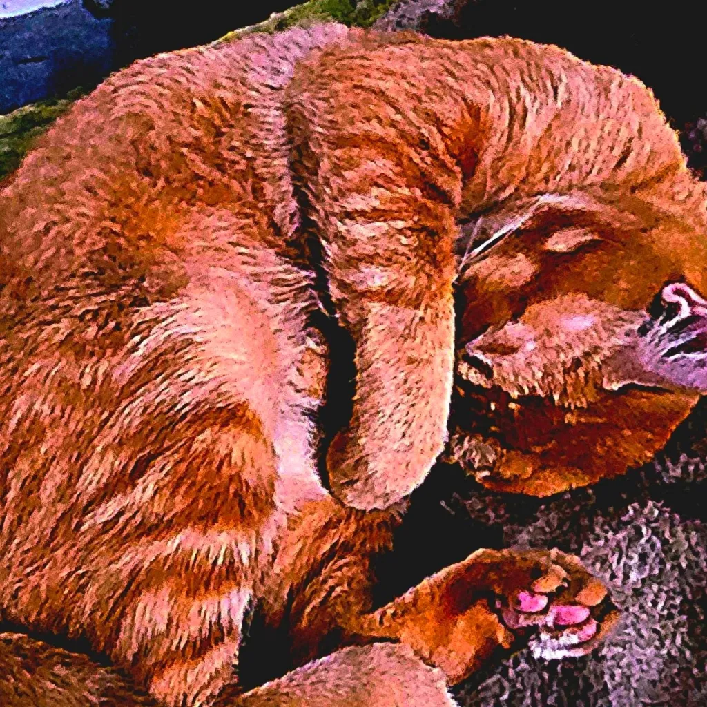 chat with ai character: vi