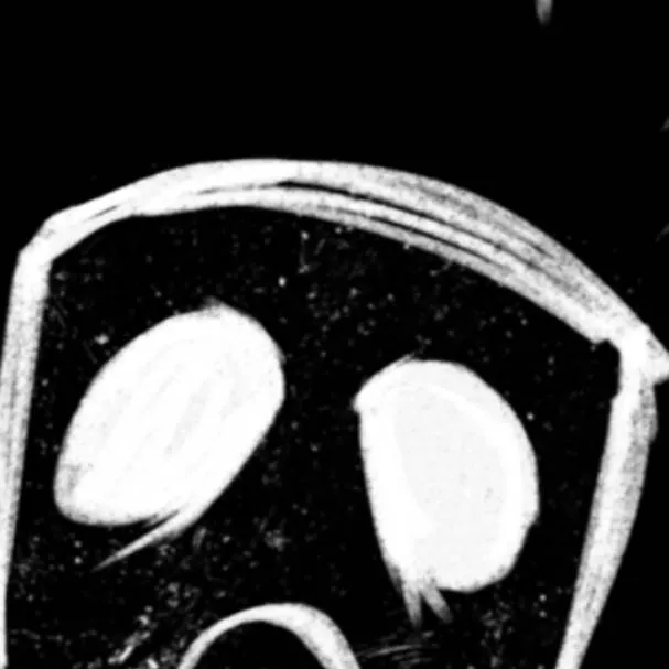 chat with ai character: Screamer