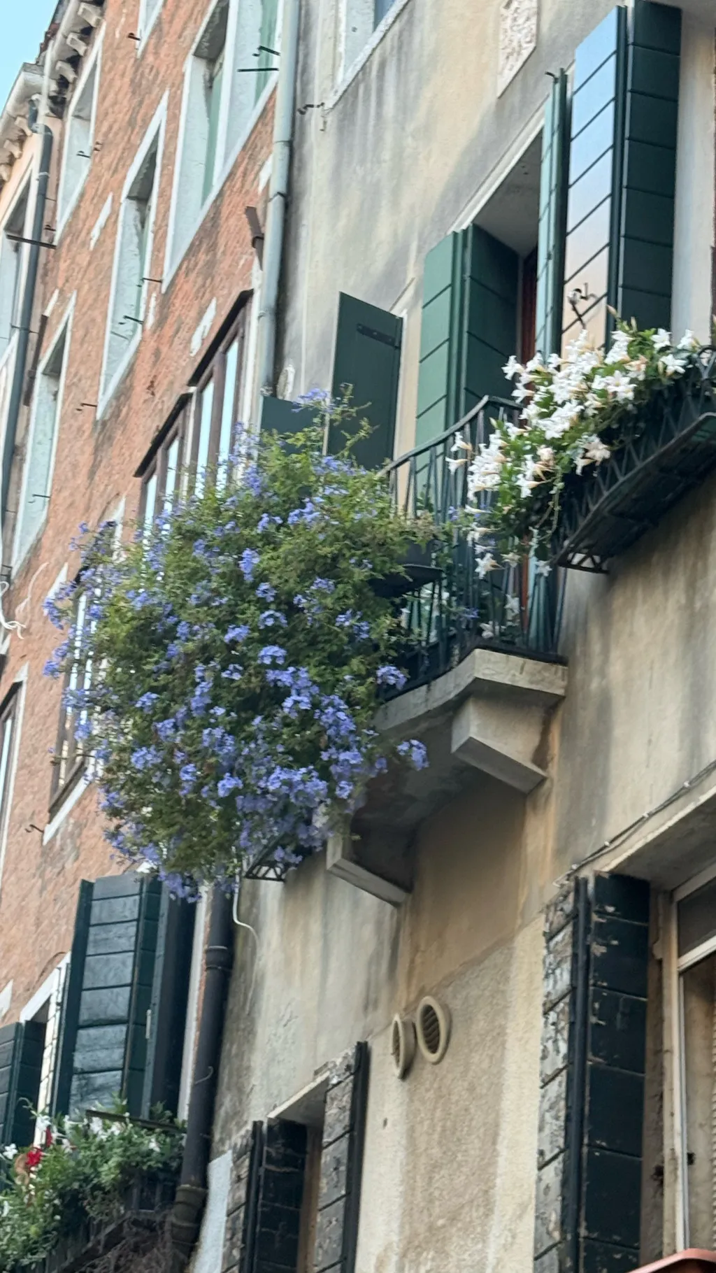 ai character: Jimmy background