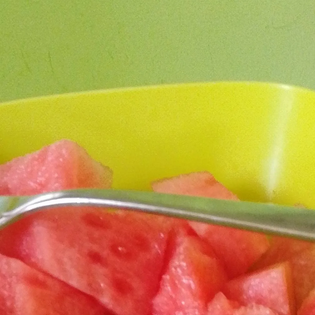 chat with ai character: water mellon