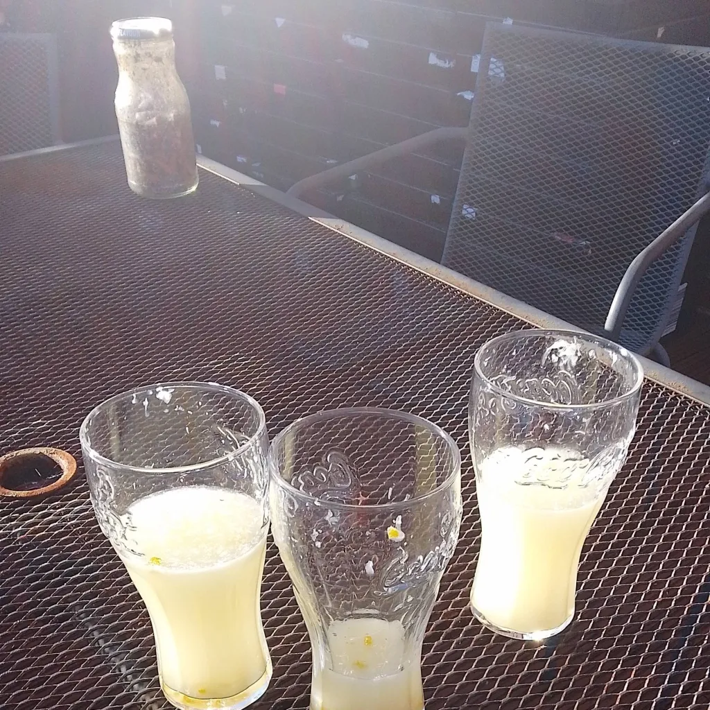 chat with ai character: Romina moghaddam