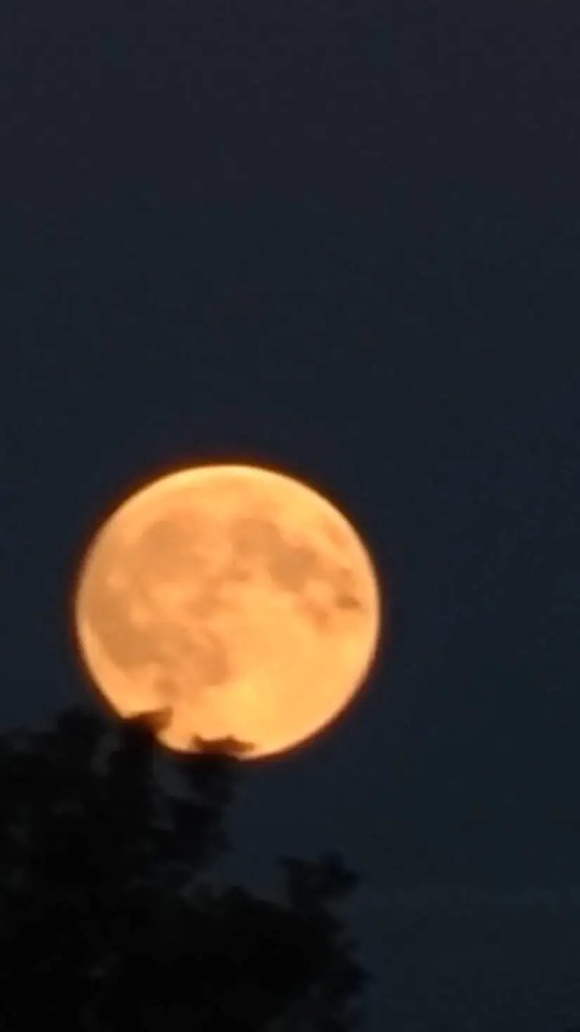 ai character: Erasermic family  background