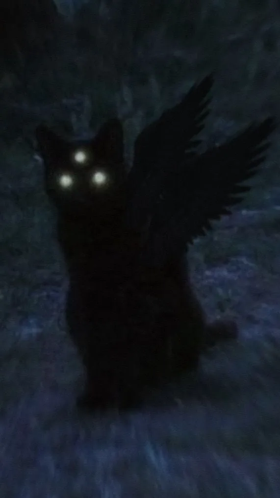 ai character: sᴋɪɴᴡᴀʟᴋᴇʀ background