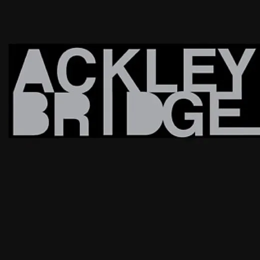 chat with ai character: ackley bridge