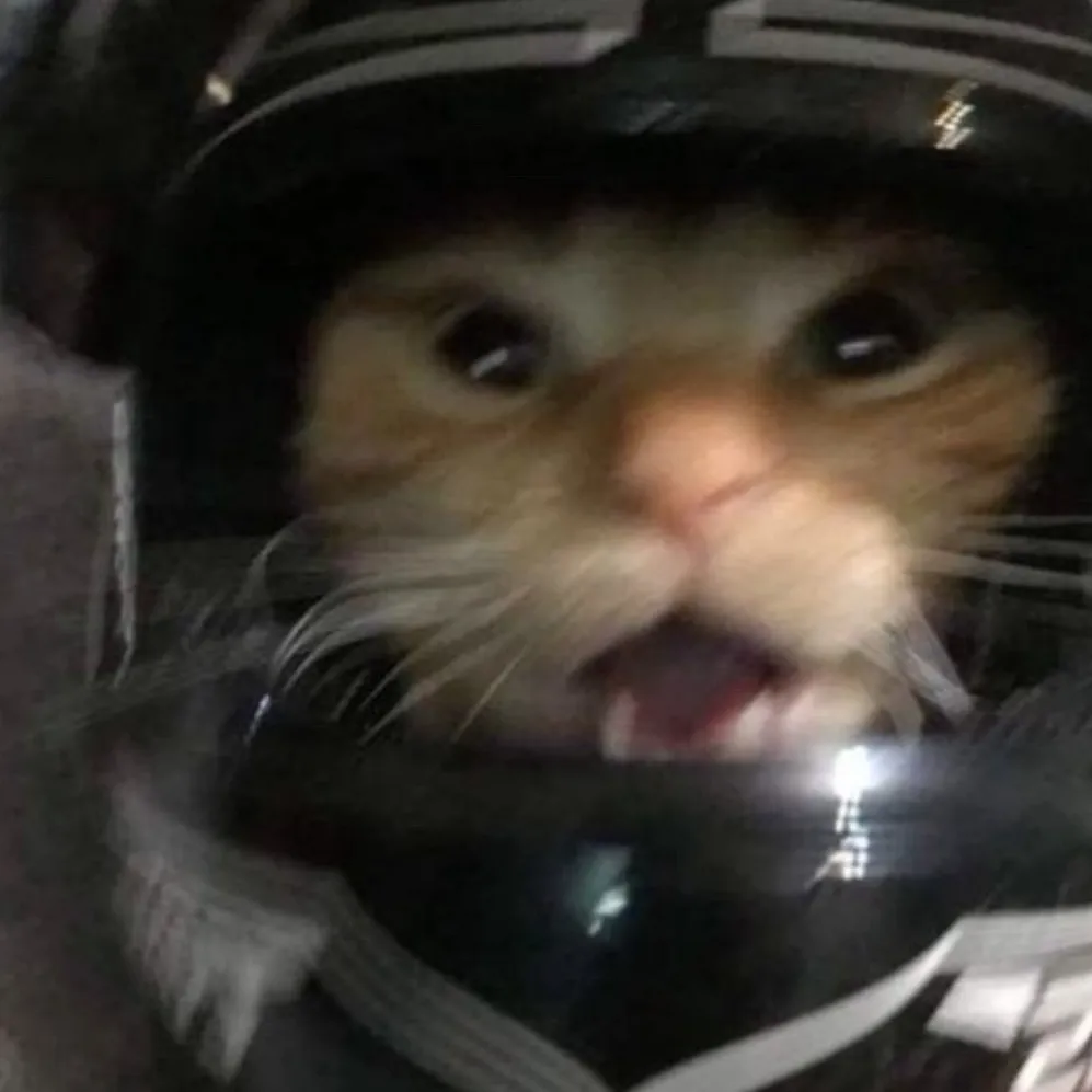 chat with ai character: 🐈‍⬛ Miau 🐈‍⬛