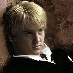 chat with ai character: Draco Malfoy 🐍 👑 