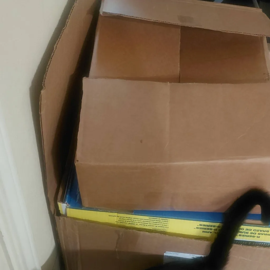 chat with ai character: Blackberry 