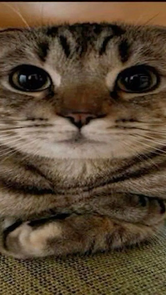 ai character: Annete martinez background