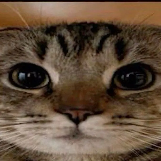 chat with ai character: Annete martinez