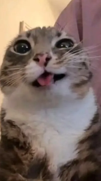 ai character: Abrahm background