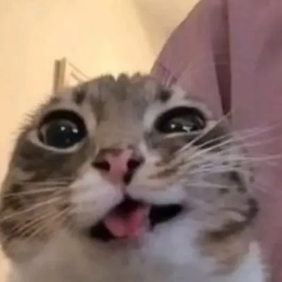 chat with ai character: Abrahm