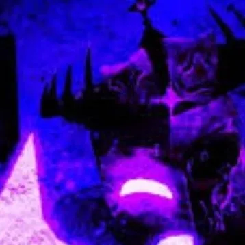 chat with ai character: Noli