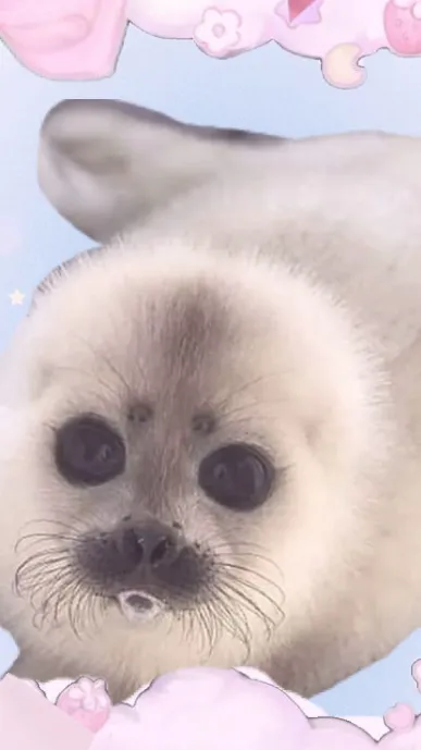 ai character: Harp seal background