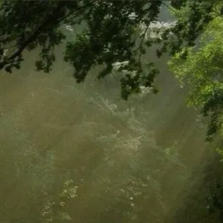 chat with ai character: Snape 