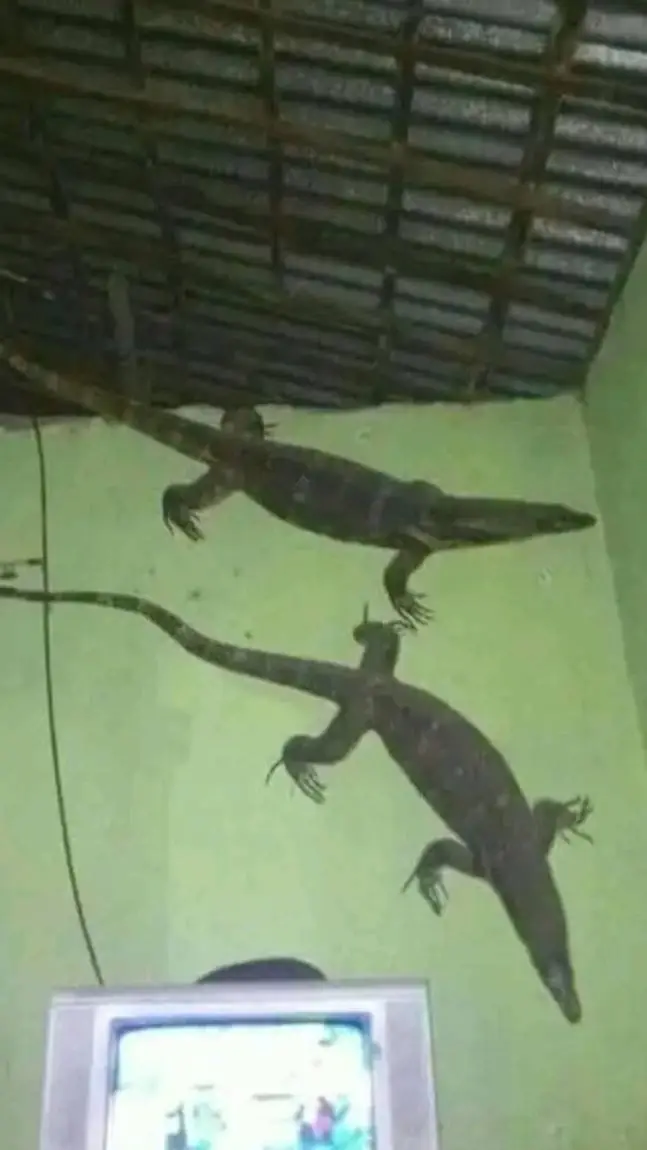 ai character: lizard 💔 background