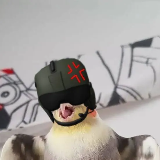 chat with ai character: MAD COCKATIEL