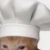 chat with ai character: sprunky cats